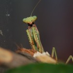 DSC_0039 DSC_0039